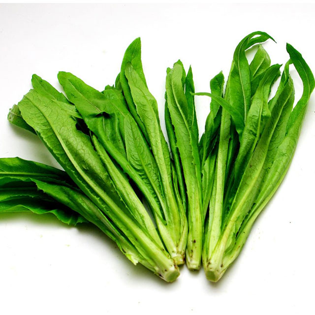 油麥菜配送